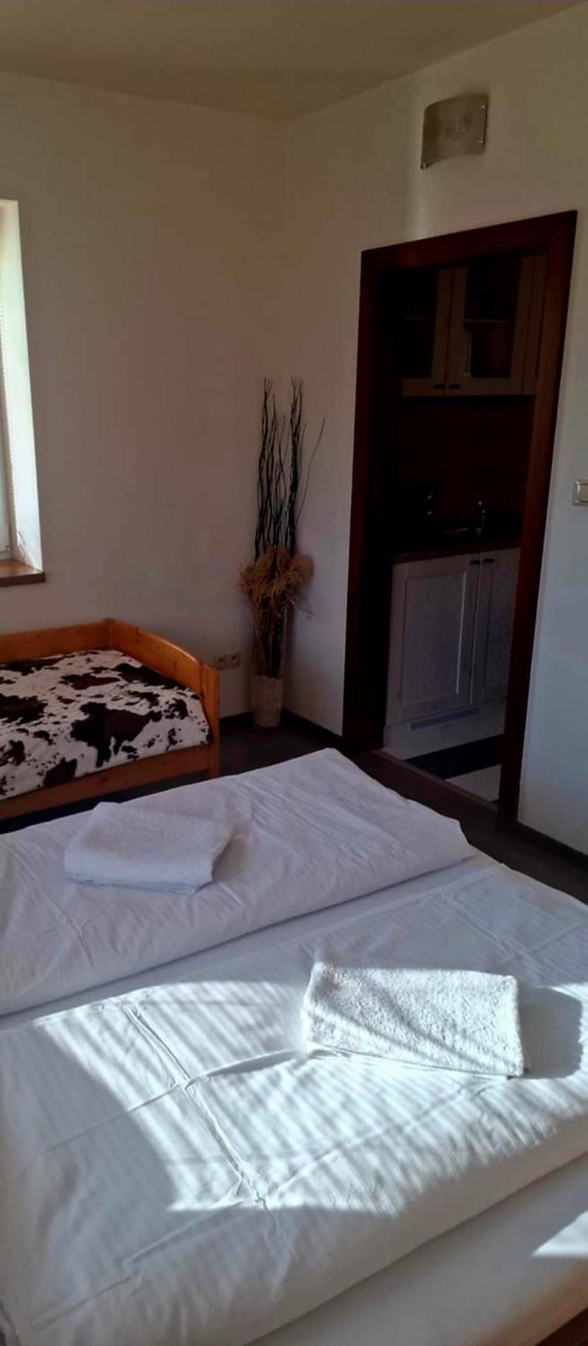 Relax Penzion U Adama Dolná Tižina Kültér fotó