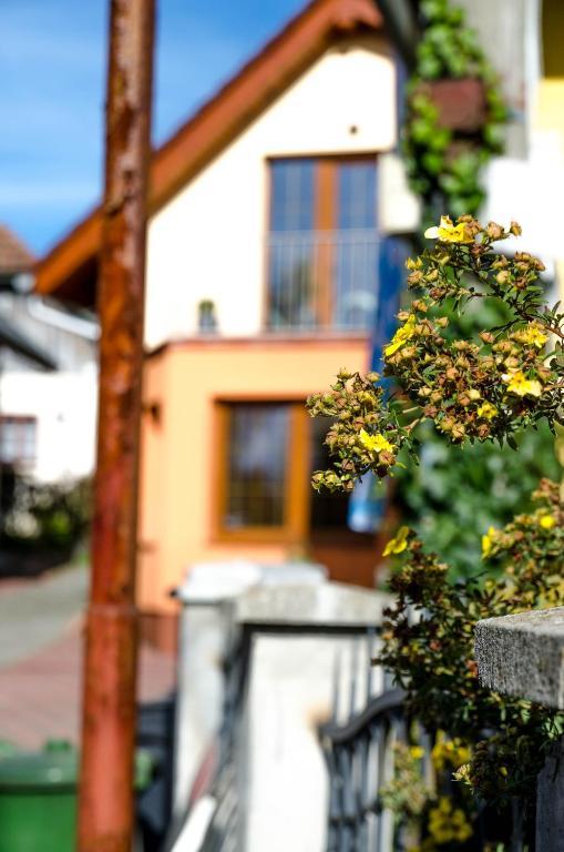 Relax Penzion U Adama Dolná Tižina Kültér fotó