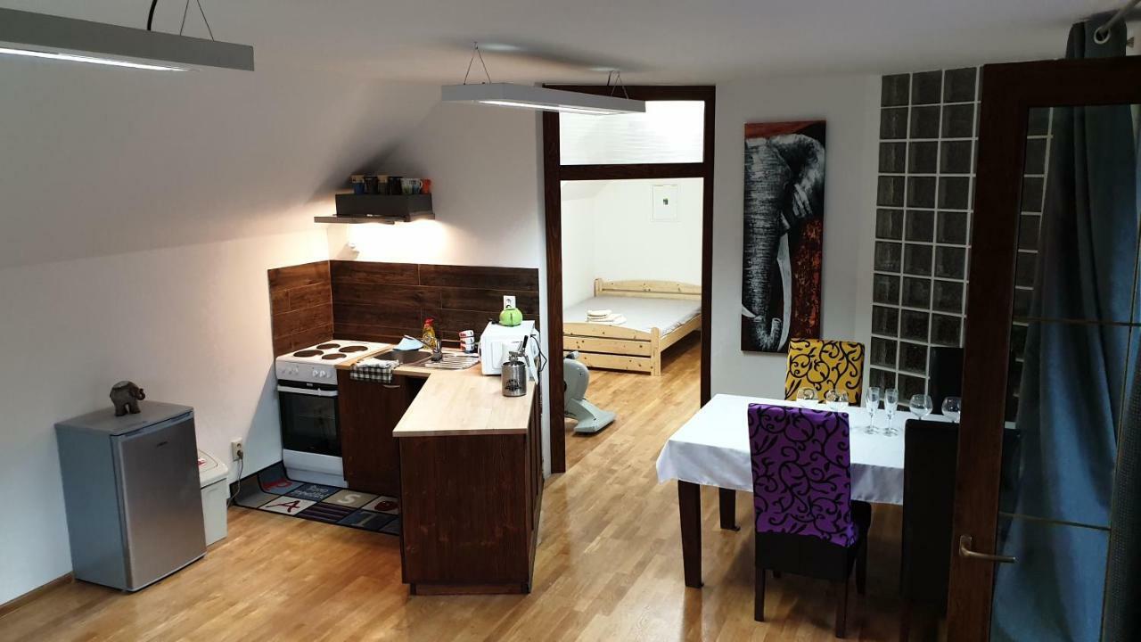 Relax Penzion U Adama Dolná Tižina Kültér fotó